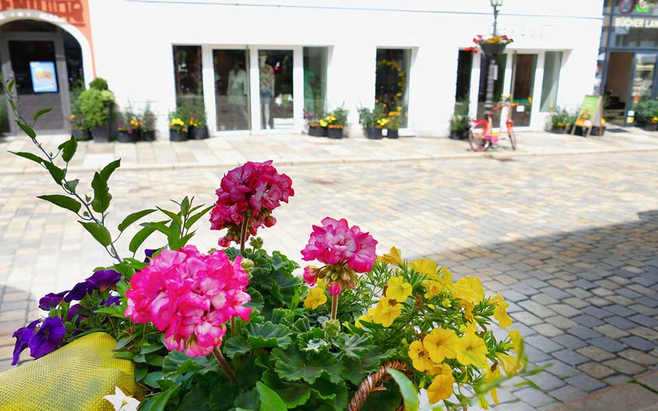 Blumen am Stadtplatz